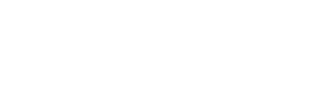 SDNET Logo